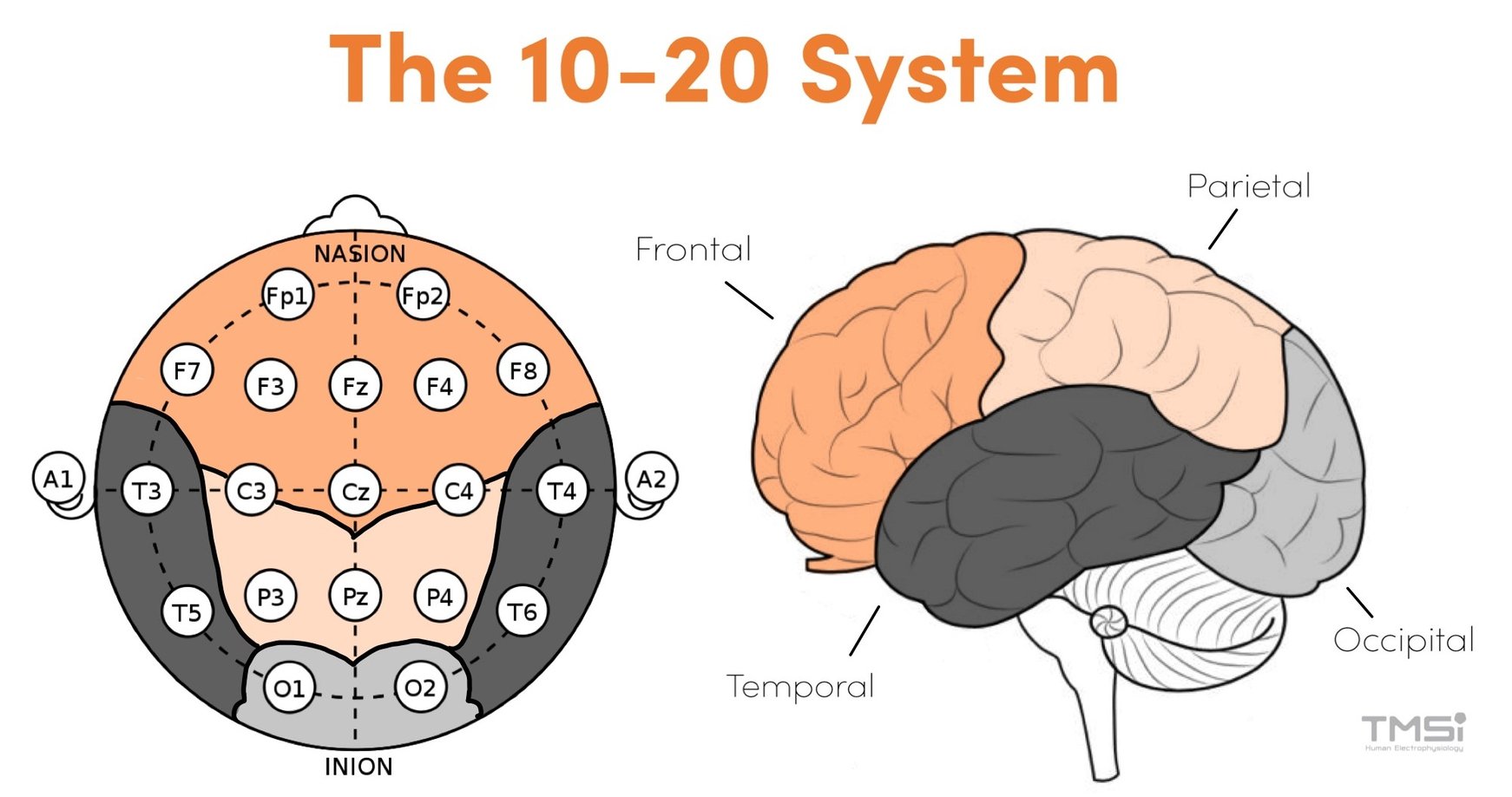 the-10-20-system-for-eeg-tmsi